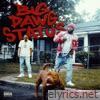 Big Dawg Status - Single