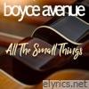 All the Small Things - Single