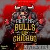 Bulls of Chicago - Single