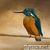 BLUBiRD - Single