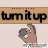 Turn It Up - Single