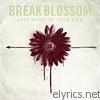 Break Blossom - Last Night of Your Life