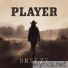 Player - Single