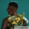 DIVINE ROMANCE (feat. Gracie Binion) - Single