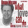 Brian Wilson - What Love Can Do - God Only Knows [Digital 45]