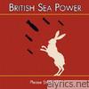 British Sea Power - Please Stand Up (Maxi Single)