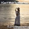 I Can't Wait To Meet You - Single