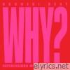 Why? (Superchumbo Mix) [feat. Neil Tennant] - Single