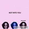Brooksie - Not Into You - Single