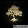 The Wolf On The Mountain - Single