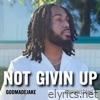 NOT GIVIN UP (feat. GODMADEJAKE) [REMIX] - Single