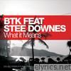 What It Means (feat. Stee Downes) - EP