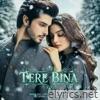 Tere Bina - Single