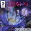 Rise of the Blue Lotus - EP