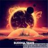 Buddha Trixie - Stop the Space Age