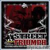 Bumpy Knuckles - Street Triumph (Hosted By DJ Premier)