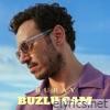 Buzlu Cam - Single