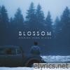 Burning Down Alaska - Blossom - Single