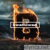 Swallowed (30 Suns Of Sound) - Single