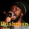 Bushman Special Edition