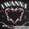 I Wanna - Single