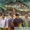 Callalily - Flower Power