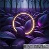 The Flow - EP