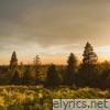 Falling Slowly - EP