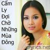 Cam Ly - Doi Cho Nhung Mua Dong