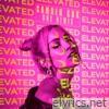 Elevated (Guz Remix) - Single