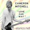 Cameron Mitchell - Love Can Wait EP