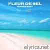 Fleur de sel (feat. Stereotic) [Radio Edit] - Single