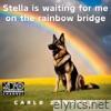 Stella is waiting for me on the rainbow bridge