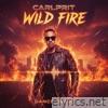 Wildfire - Single