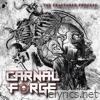 The Fractured Process - Single