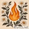 Fire - Single