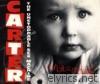 Carter The Unstoppable Sex Machine - A Sheltered Life