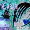 Casari - A Sinking Feeling - EP