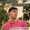 Never Remember Your Heartbreak - Single