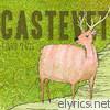 Castevet - Summer Fences