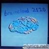 Cat Soup - Braincloud 2120