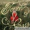 Touch Grass - Single