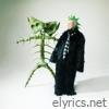 Catnapp lyrics