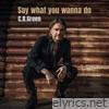 Say What You Wanna Do - Single