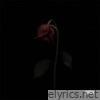 Cold Heart - Single