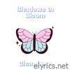 Shadows in Bloom - Single