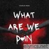 What Are We Doin' - Single