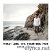 What Are We Fighting For - Single