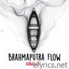 Brahmaputra Flow - Single