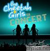 The Party's Just Begun: The Cheetah Girls in Concert